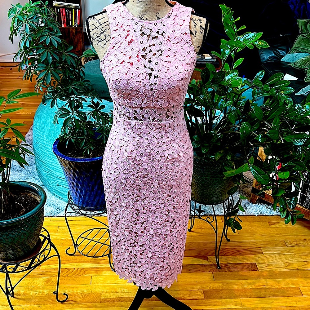 Cynthia Rowley Formal Rose Pink Lace Sheer Panel Dress